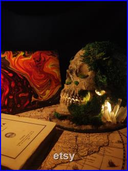 Lampe gothique crâne humain végétalisé tête de mort LED Fait Main Déco gothique, Cabinet de curiosités, Dark Fantasy Lampe gothique crâne humain végétalisé tête de mort LED Fait Main Déco gothique, Cabinet de curiosités, Dark Fantasy