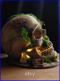 Lampe gothique crâne humain végétalisé tête de mort LED Fait Main Déco gothique, Cabinet de curiosités, Dark Fantasy Lampe gothique crâne humain végétalisé tête de mort LED Fait Main Déco gothique, Cabinet de curiosités, Dark Fantasy