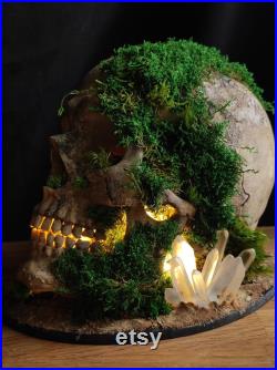 Lampe gothique crâne humain végétalisé tête de mort LED Fait Main Déco gothique, Cabinet de curiosités, Dark Fantasy Lampe gothique crâne humain végétalisé tête de mort LED Fait Main Déco gothique, Cabinet de curiosités, Dark Fantasy