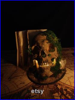 Lampe gothique crâne humain végétalisé tête de mort LED Fait Main Déco gothique, Cabinet de curiosités, Dark Fantasy Lampe gothique crâne humain végétalisé tête de mort LED Fait Main Déco gothique, Cabinet de curiosités, Dark Fantasy