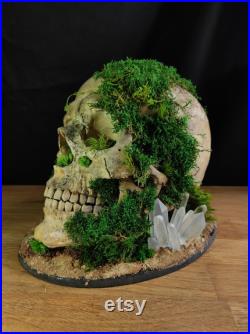 Lampe gothique crâne humain végétalisé tête de mort LED Fait Main Déco gothique, Cabinet de curiosités, Dark Fantasy Lampe gothique crâne humain végétalisé tête de mort LED Fait Main Déco gothique, Cabinet de curiosités, Dark Fantasy