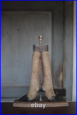 Lampe patte de chevreuil avec monture métal argenté, patte de cerf, taxidermie