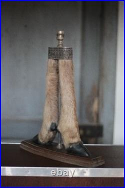 Lampe patte de chevreuil avec monture métal argenté, patte de cerf, taxidermie