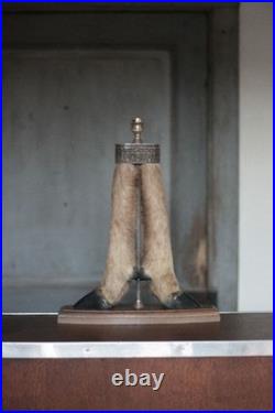 Lampe patte de chevreuil avec monture métal argenté, patte de cerf, taxidermie