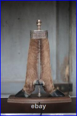 Lampe patte de chevreuil avec monture métal argenté, patte de cerf, taxidermie