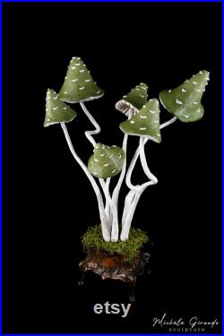 Le Coffre aux Champignons Sculpture de champignons en papier mâché Art cabinet de curiosités
