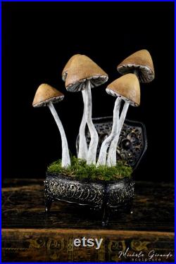 Le Coffret aux Champignons Sculpture de champignons en papier mâché Art cabinet de curiosités