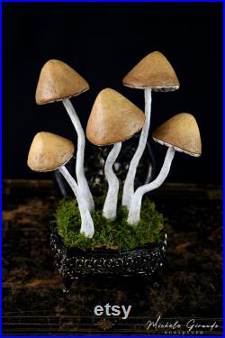 Le Coffret aux Champignons Sculpture de champignons en papier mâché Art cabinet de curiosités