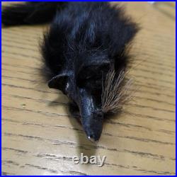 Leurre taxidermie réaliste en forme de souris appât de pêche en eau de pointe