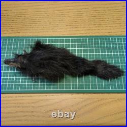 Leurre taxidermie réaliste en forme de souris appât de pêche en eau de pointe