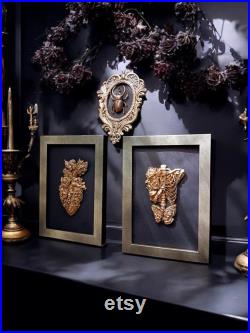 Lot décoration gothique noël halloween insecte naturalisé taxidermie cabinet curiosités exvoto dark academia sorcellerie spécimen humide