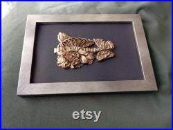 Lot décoration gothique noël halloween insecte naturalisé taxidermie cabinet curiosités exvoto dark academia sorcellerie spécimen humide