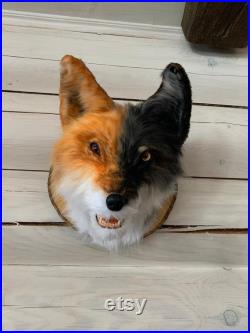 Loup-fox faux renard rouge de fourrure loup gris