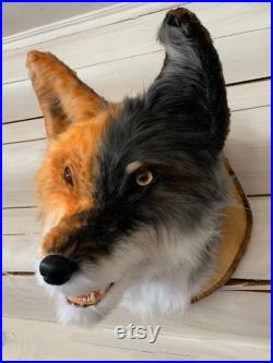 Loup-fox faux renard rouge de fourrure loup gris