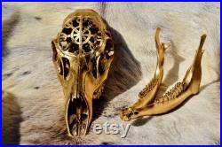 MADE TO ORDER Or peint Crâne de cerf de Roe ( Sculpture de crâne de cerf (en anglais) Crâne sculpté (en anglais) cadeau vintage, pour elle pour lui, décor à la maison . Crâne réel de cerf