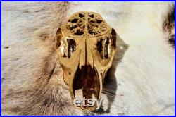 MADE TO ORDER Or peint Crâne de cerf de Roe ( Sculpture de crâne de cerf (en anglais) Crâne sculpté (en anglais) cadeau vintage, pour elle pour lui, décor à la maison . Crâne réel de cerf