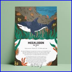Megalodon Tooth and Illustration 23-3 millions d années pièce de déclaration à votre maison, bureau, restaurant, bar ou grotte de l homme