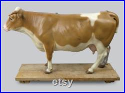 Modèle anatomique de vache didactique de la marque allemande SOMSO 1970 Cabinet de curiosités