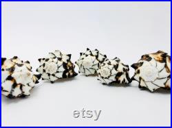 Murex nigritus, murex, coquillage, coquillage blanc et noir, seashell, black and white, coquillage tillandsia, coquillage loisir créatif Murex nigritus, murex, coquillage, coquillage blanc et noir, seashell, black and white, coquillage tillandsia, coquillage loisir créatif