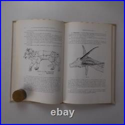 N9876 L'art de la taxidermie au XXe siècle 1968 R. Didier A. Boudarel naturalisme