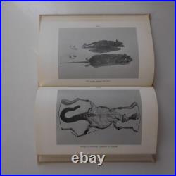 N9876 L'art de la taxidermie au XXe siècle 1968 R. Didier A. Boudarel naturalisme