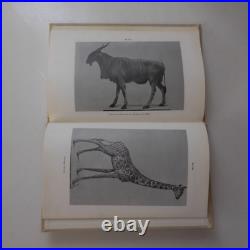 N9876 L'art de la taxidermie au XXe siècle 1968 R. Didier A. Boudarel naturalisme