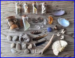 Natural Finds Mystery Curiosity Lot, Bones Feathers Stones Dried Mushroom and Lichen, Goblincore Vulture Culture Osteomancy