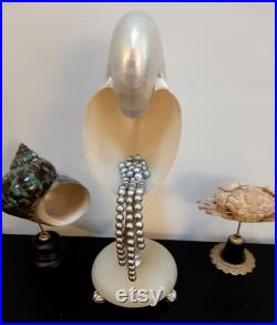 Nautile nacré avec perles sur socle agathe et métal