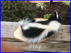 Nouveau, Taxidermie Very, NICE, Lifesize Baby Stripped SKUNK Mount Log Cabin Hunting Lodge Décor (Mephitis mephitis)