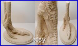 Ostrich foot cast