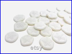 Oursin blanc, test oursin, dollar des sables, oursin pancake, petit oursin, oursin plat, cabinet de curiosité, coquillage blanc, oddities