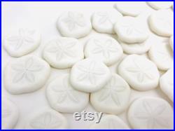 Oursin blanc, test oursin, dollar des sables, oursin pancake, petit oursin, oursin plat, cabinet de curiosité, coquillage blanc, oddities