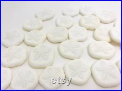 Oursin blanc, test oursin, dollar des sables, oursin pancake, petit oursin, oursin plat, cabinet de curiosité, coquillage blanc, oddities