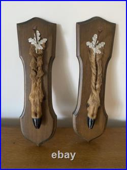 Paire De Pied D'Honneur De Cerf Écusson En Bois Taxidermie Vintage #C328