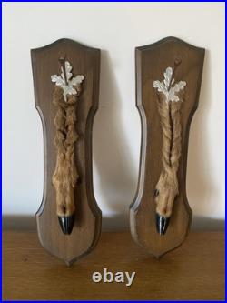 Paire De Pied D'Honneur De Cerf Écusson En Bois Taxidermie Vintage #C328