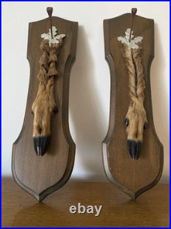 Paire De Pied D'Honneur De Cerf Écusson En Bois Taxidermie Vintage #C328