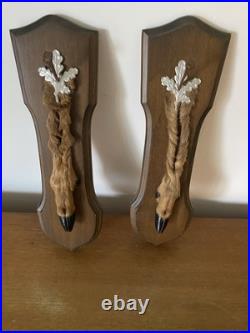 Paire De Pied D'Honneur De Cerf Écusson En Bois Taxidermie Vintage #C328