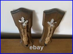 Paire De Pied D'Honneur De Cerf Écusson En Bois Taxidermie Vintage #C328