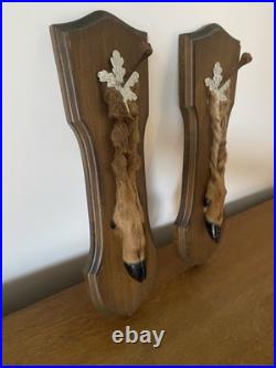 Paire De Pied D'Honneur De Cerf Écusson En Bois Taxidermie Vintage #C328