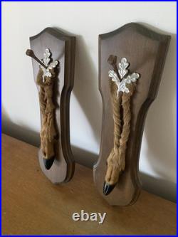 Paire De Pied D'Honneur De Cerf Écusson En Bois Taxidermie Vintage #C328