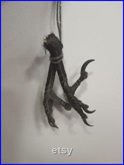 Paire de pattes de corbeau