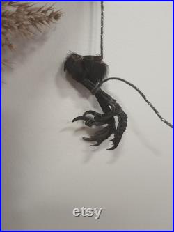 Paire de pattes de corbeau pieds d'oiseau pattes oiseaux