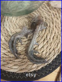 Paire de pattes de faisan