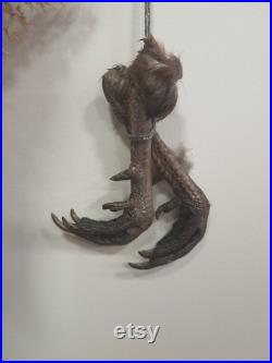 Paire de pattes de faisan