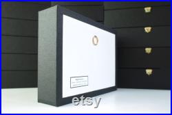 Papillon naturalisé en boite entomologique véritable Chrysiridia rhipheus (verso) (Insecte, entomologie, taxidermie, urania, curiosité)