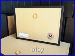 Papillon sphinx tête de mort naturalisé sous cadre Acherontia atropos (insecte, entomologie, taxidermie, curiosité)