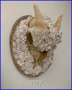 Petit crâne de chèvre floral blanc sur bois rond Boho Oddities