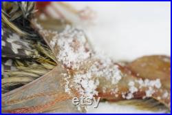 Pic lacé( mâle) sel de peau salée peau peau taxidermie d oiseau montée