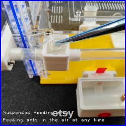 Plaster Vivarium Anthill Ant Farm, Large Nest and Feeding Area, Reproduction of The Natural Environment,Nest for Queen and Colony Breeding