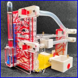 Plaster Vivarium Anthill Ant Farm, Large Nest and Feeding Area, Reproduction of The Natural Environment,Nest for Queen and Colony Breeding